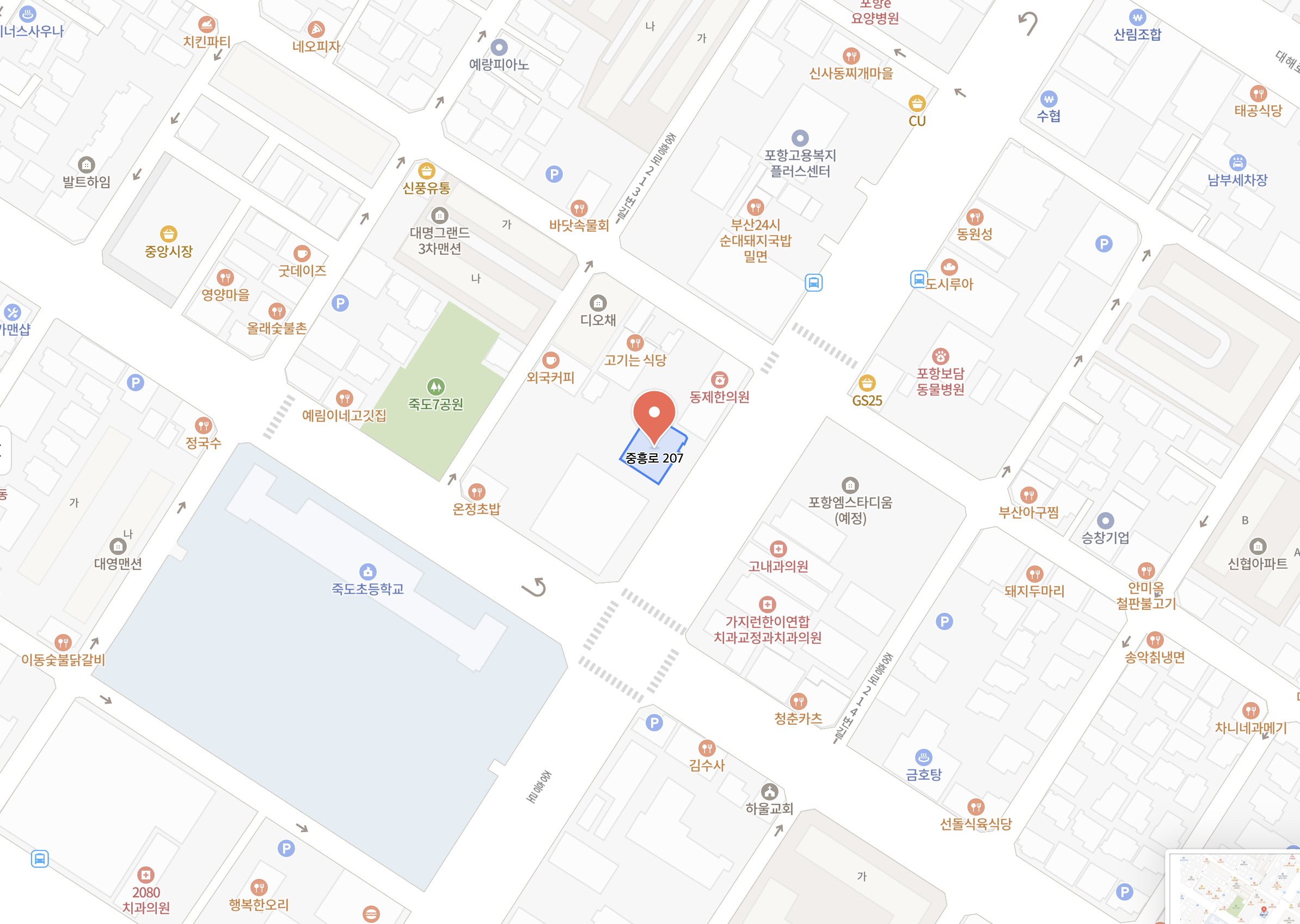 경상북도 포항시 북구 중흥로 207 위치 지도